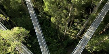 3 Pronged Approach to Reading