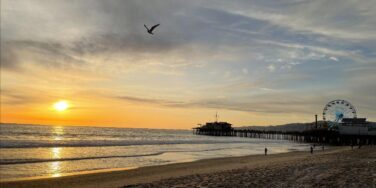 Fall in Love with Your Brain