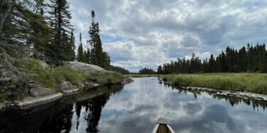 Overview of ADHD Medications