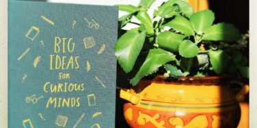 Dyslexia in Gifted Students