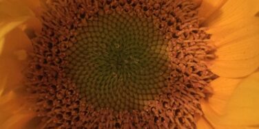 ADHD: A Shift in Mindset