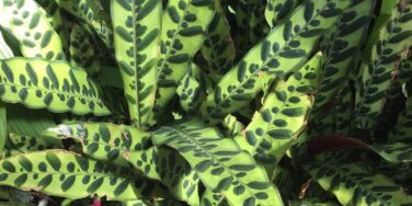 ADHD is a neurobiological condition. It is not caused by poor parenting. 