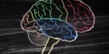 Decodable Books and the Brain Science Behind Reading