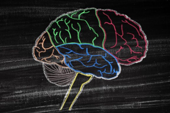 Decodable Books and the Brain Science Behind Reading