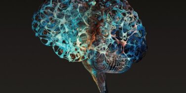 Stimulants and the ADHD Brain: A Potential Protective Partnership