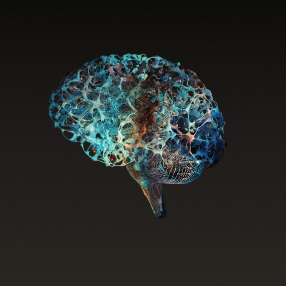 Stimulants and the ADHD Brain: A Potential Protective Partnership