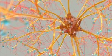 A Neuropsychologist’s Perspective on Orton Gillingham Tutoring