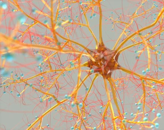 A Neuropsychologist’s Perspective on Orton Gillingham Tutoring