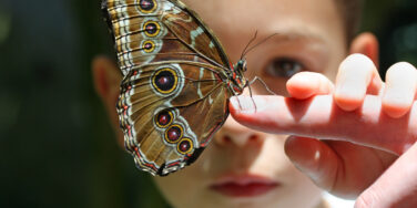 ADD vs. ADHD: Understanding the Evolution of a Diagnosis