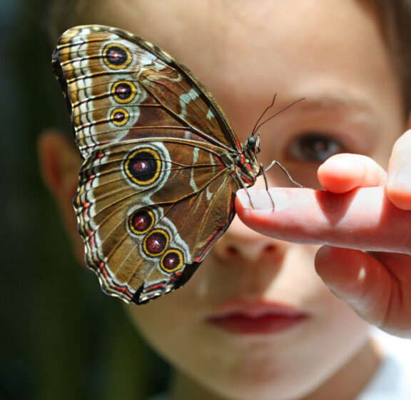 ADD vs. ADHD: Understanding the Evolution of a Diagnosis