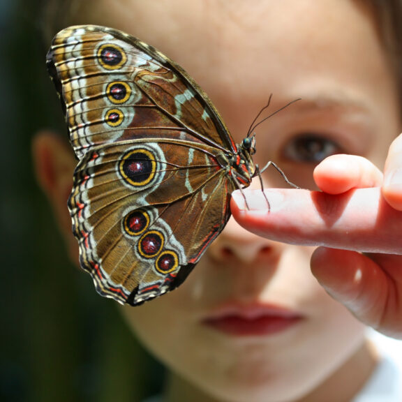 ADD vs. ADHD: Understanding the Evolution of a Diagnosis