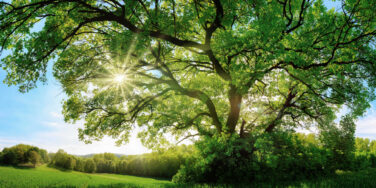 Putting Clinical Care First