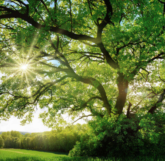 Putting Clinical Care First