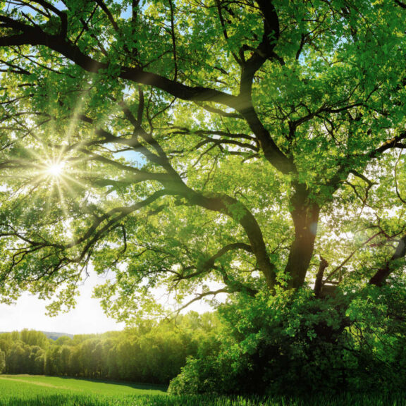 Putting Clinical Care First