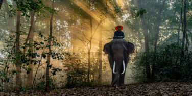 The “H” in ADHD: Hyperactive Doesn’t Tell the Whole Story ⚡