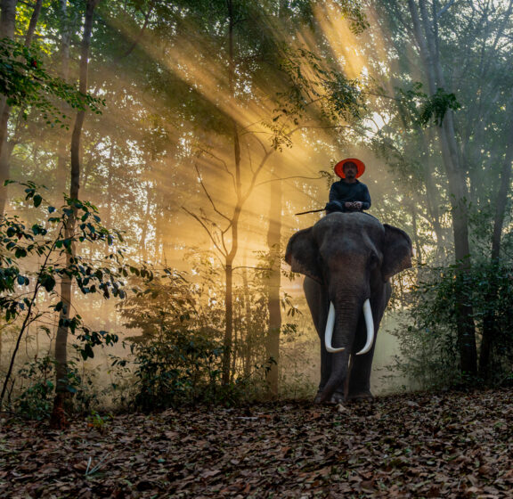 The “H” in ADHD: Hyperactive Doesn’t Tell the Whole Story ⚡