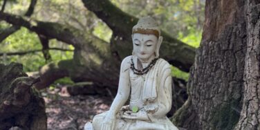 The Science and Practice of Self-Compassion 🌿