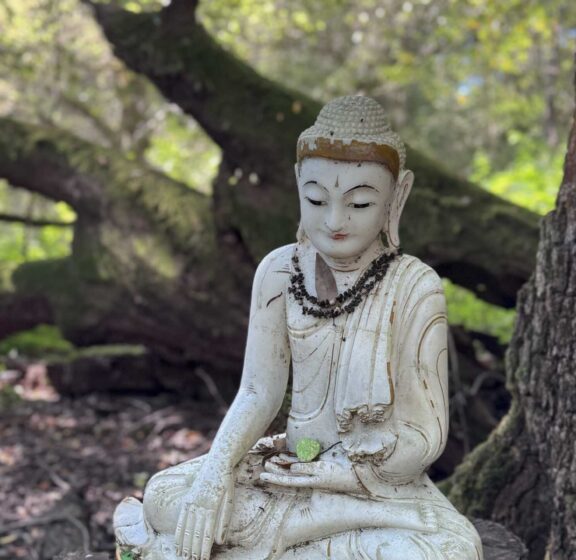 The Science and Practice of Self-Compassion 🌿