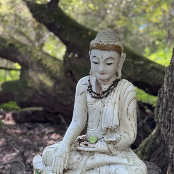 The Science and Practice of Self-Compassion 🌿