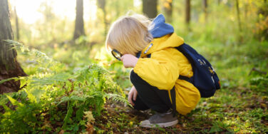 Curiosity, the ADHD Brain, and Why the World Needs More Explorers
