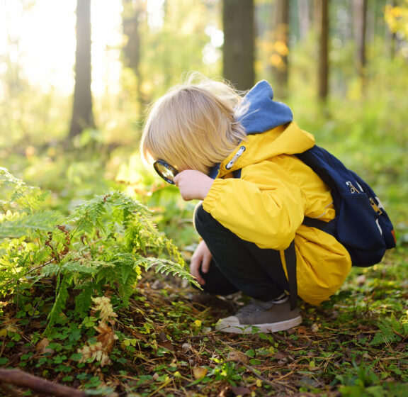 Curiosity, the ADHD Brain, and Why the World Needs More Explorers