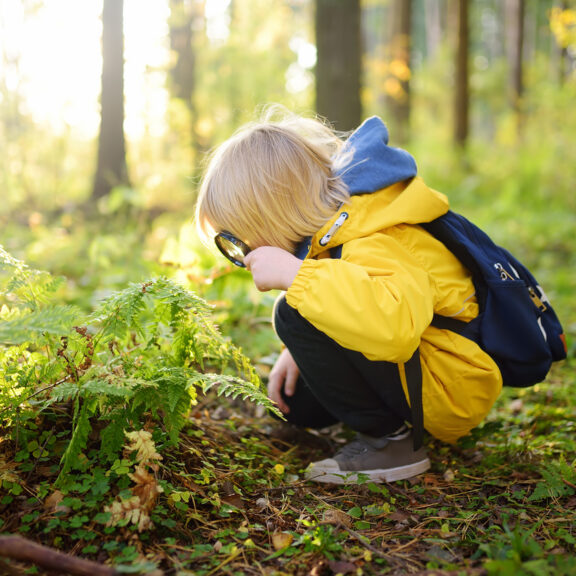 Curiosity, the ADHD Brain, and Why the World Needs More Explorers