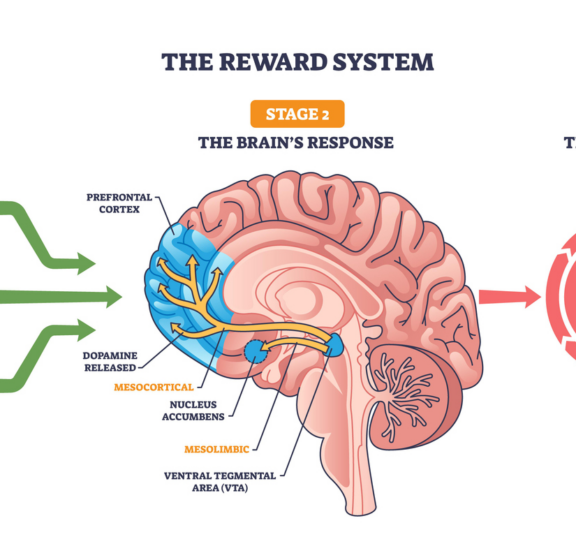 Knowing vs. Doing: How the ADHD Brain Gets Motivated