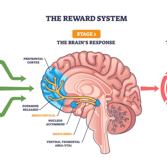 Knowing vs. Doing: How the ADHD Brain Gets Motivated